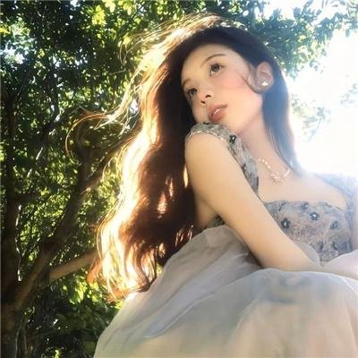 哈莱姆的郁金香