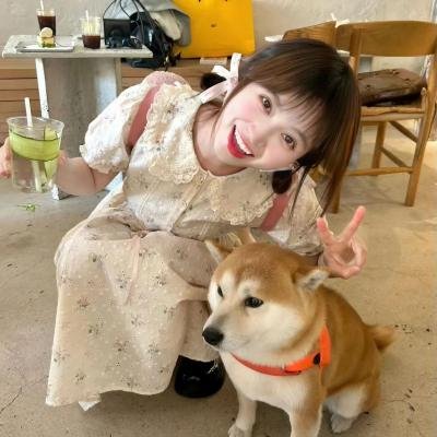 丝黛芬妮
